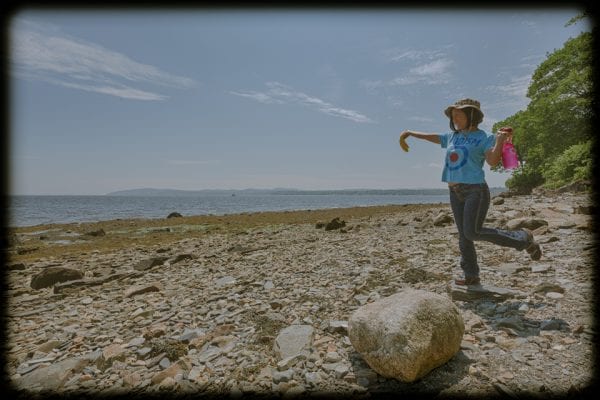 moorings oceanfront rv resort images 12