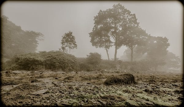 moorings oceanfront rv resort images 30