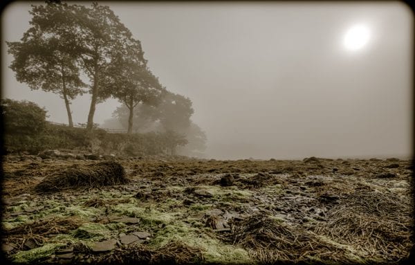 moorings oceanfront rv resort images 31