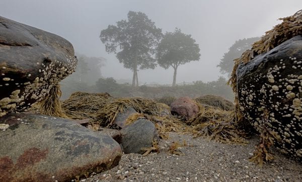 moorings oceanfront rv resort images 32