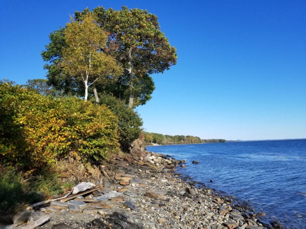 Moorings RV Camp Website 3